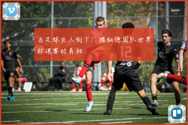 当足球巨人倒下：揭秘德国队世界杯退赛的真相