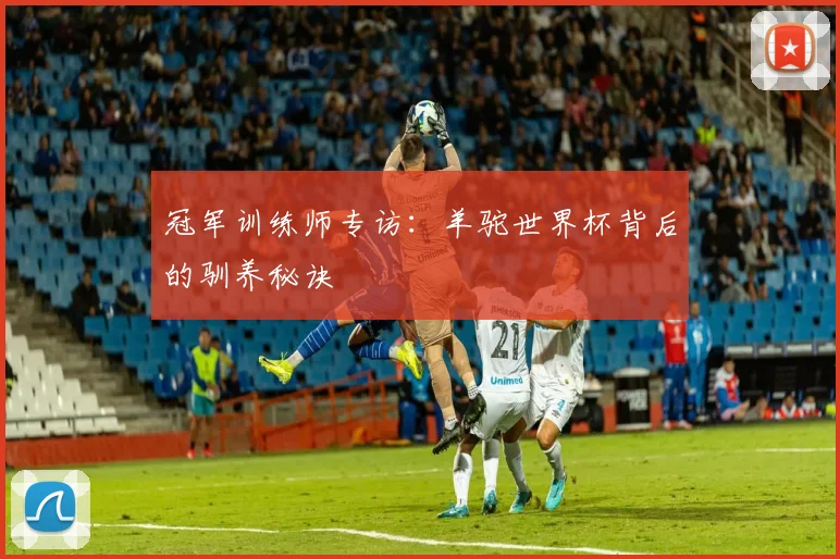 冠军训练师专访：羊驼世界杯背后的驯养秘诀