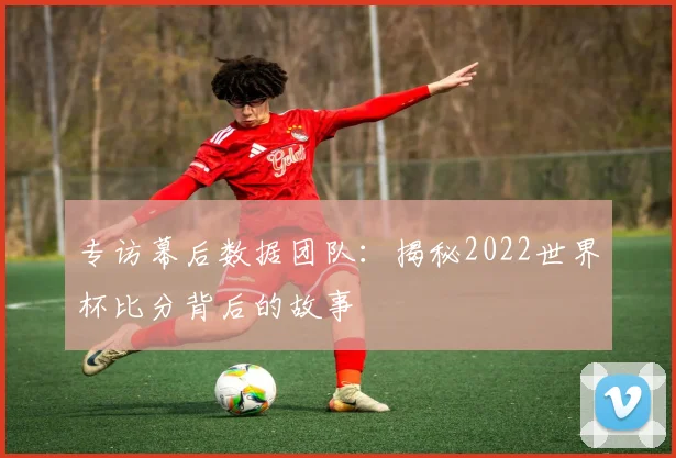 专访幕后数据团队：揭秘2022世界杯比分背后的故事